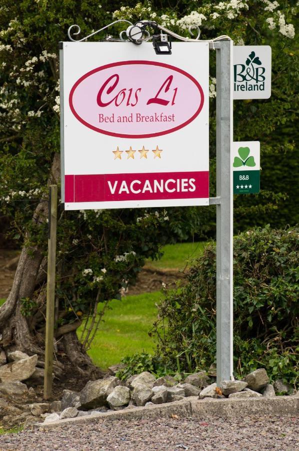 Cois Li B&B Tralee Extérieur photo